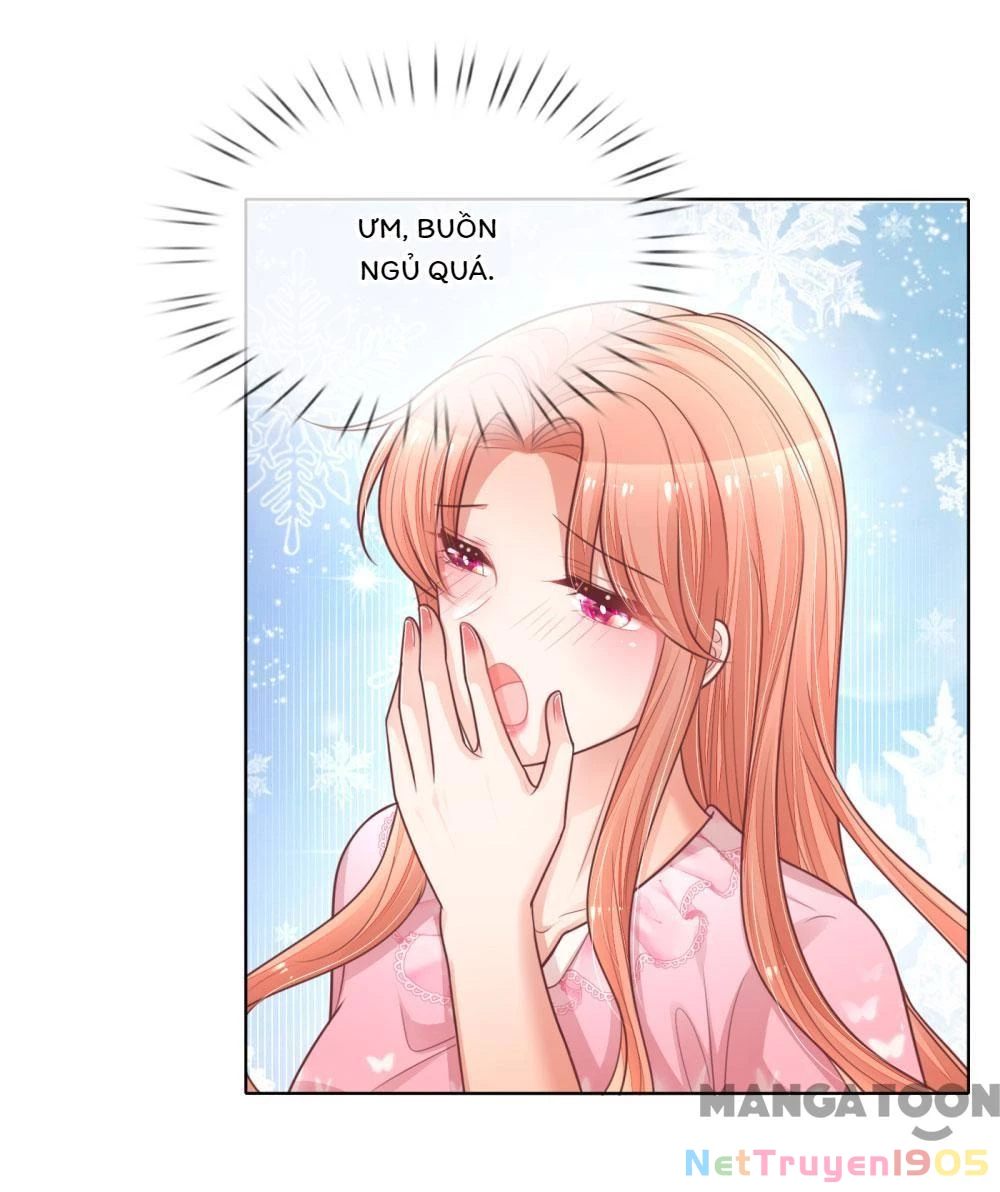 Mami Mau Chạy - Daddy Đuổi Tới Rồi Chapter 153 - 5