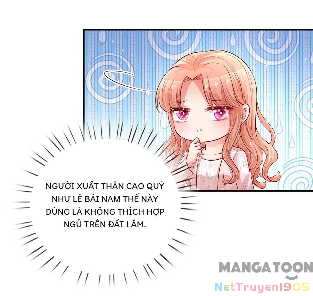 Mami Mau Chạy - Daddy Đuổi Tới Rồi Chapter 163 - 18