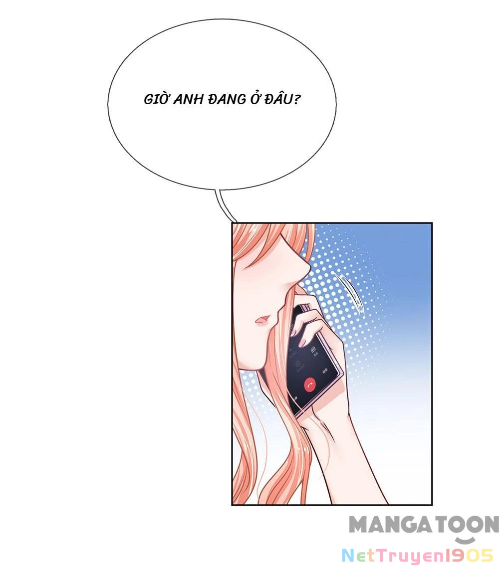 Mami Mau Chạy - Daddy Đuổi Tới Rồi Chapter 169 - 12