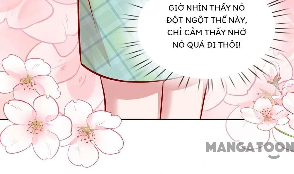 Mami Mau Chạy - Daddy Đuổi Tới Rồi Chapter 177 - 32