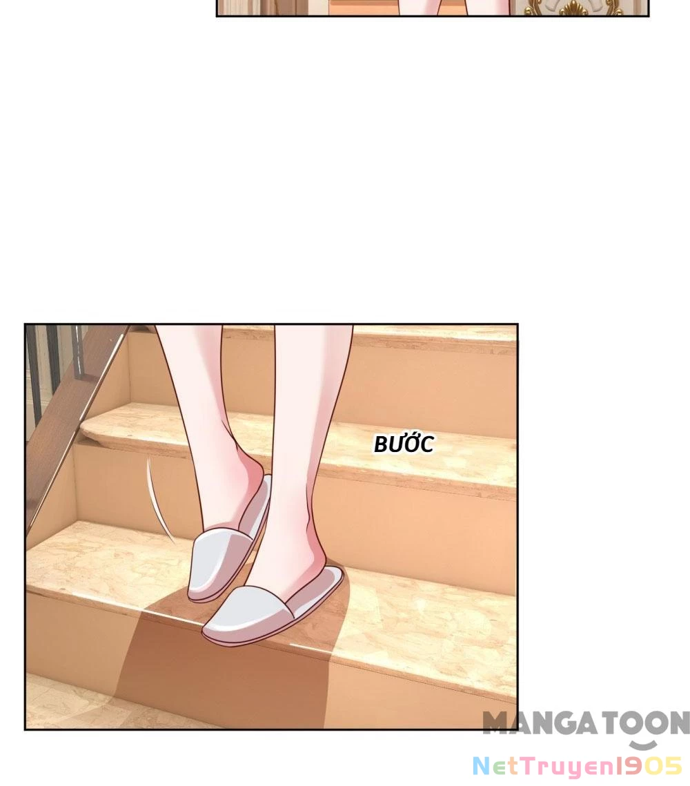 Mami Mau Chạy - Daddy Đuổi Tới Rồi Chapter 183 - 8