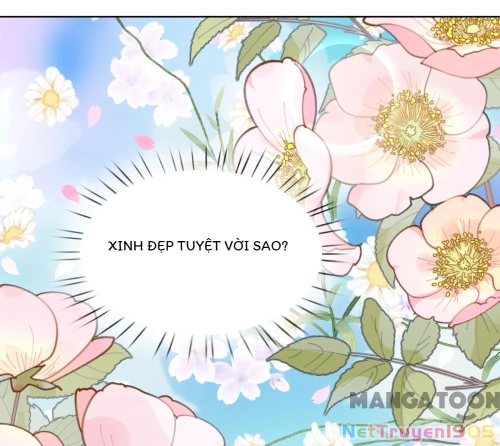 Mami Mau Chạy - Daddy Đuổi Tới Rồi Chapter 189 - 7
