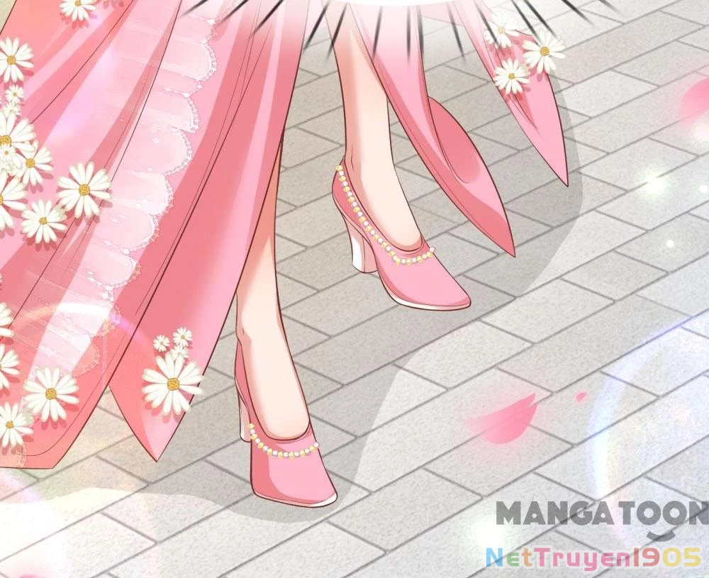 Mami Mau Chạy - Daddy Đuổi Tới Rồi Chapter 197 - 5