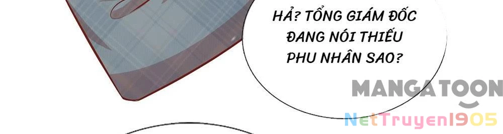 Mami Mau Chạy - Daddy Đuổi Tới Rồi Chapter 215 - 35
