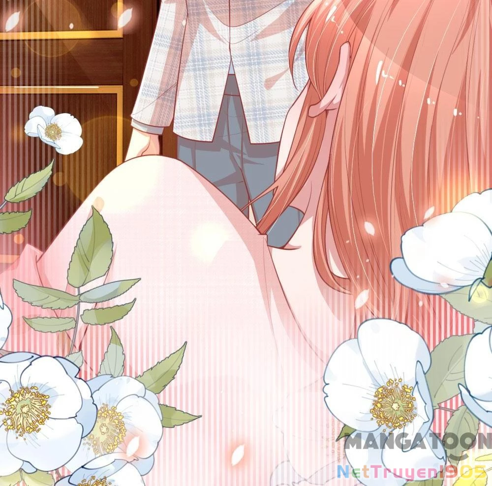 Mami Mau Chạy - Daddy Đuổi Tới Rồi Chapter 224 - 6