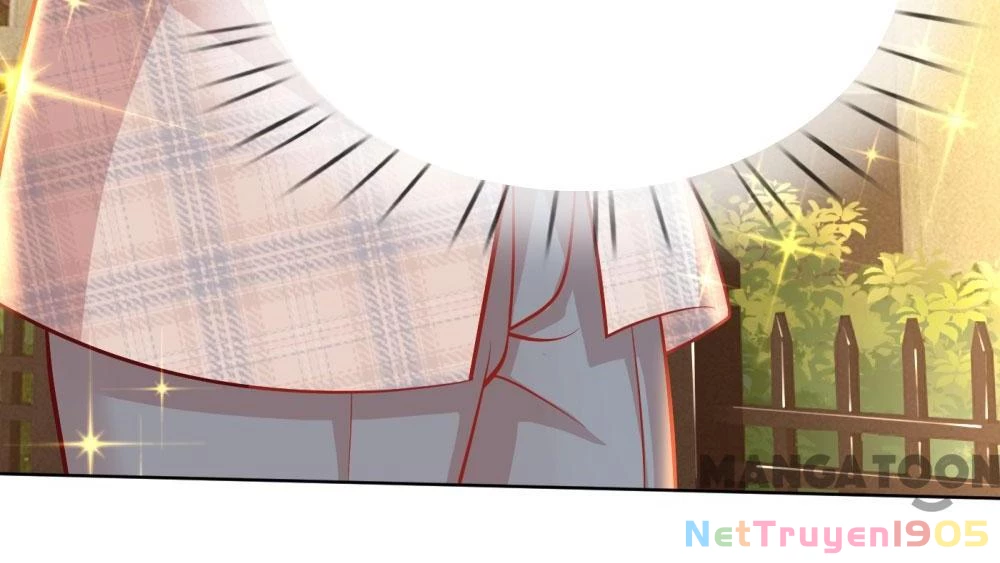 Mami Mau Chạy - Daddy Đuổi Tới Rồi Chapter 228 - 5