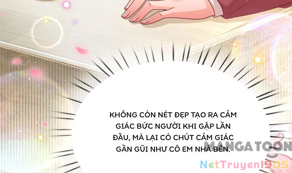Mami Mau Chạy - Daddy Đuổi Tới Rồi Chapter 229 - 22