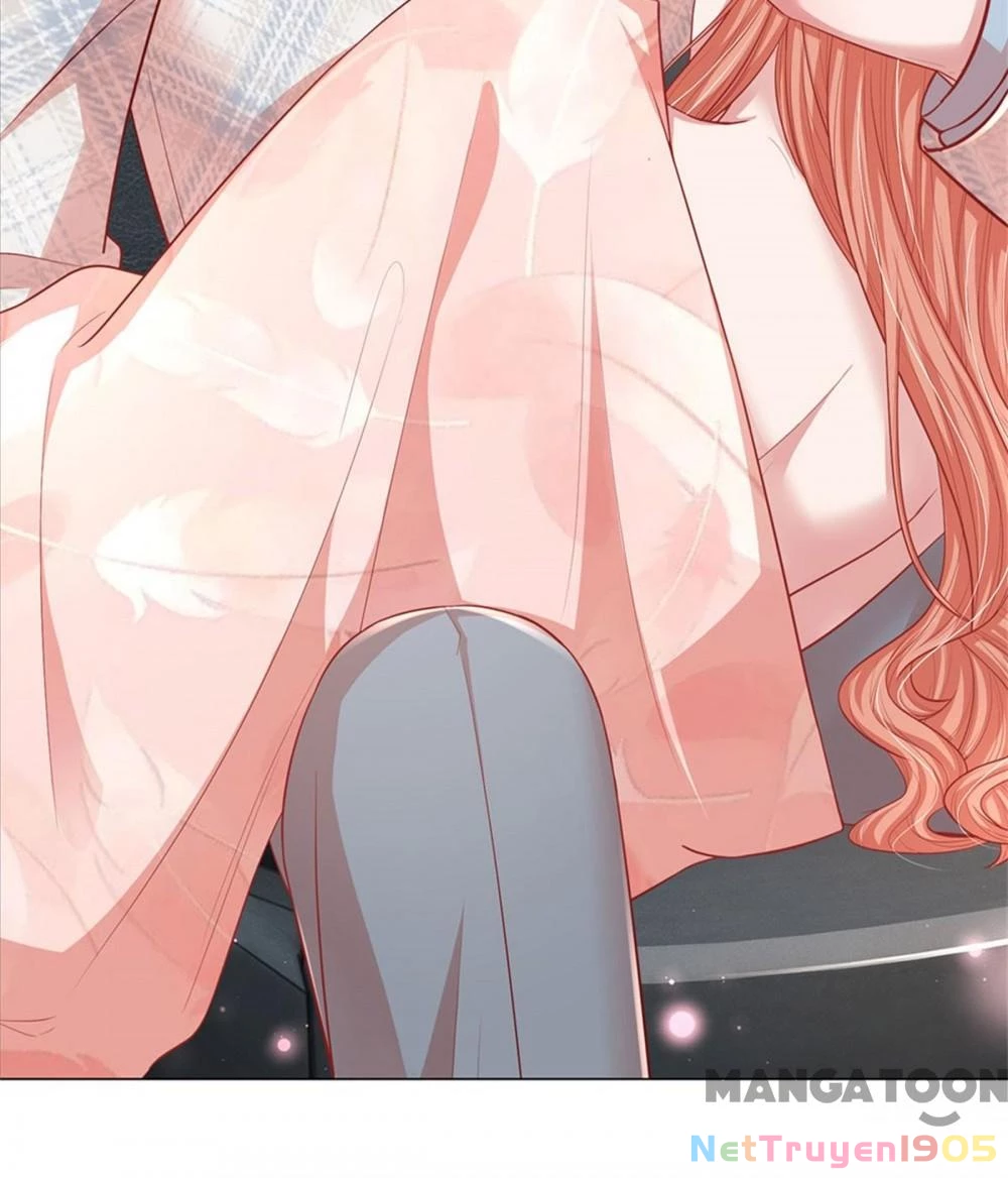 Mami Mau Chạy - Daddy Đuổi Tới Rồi Chapter 242 - 15