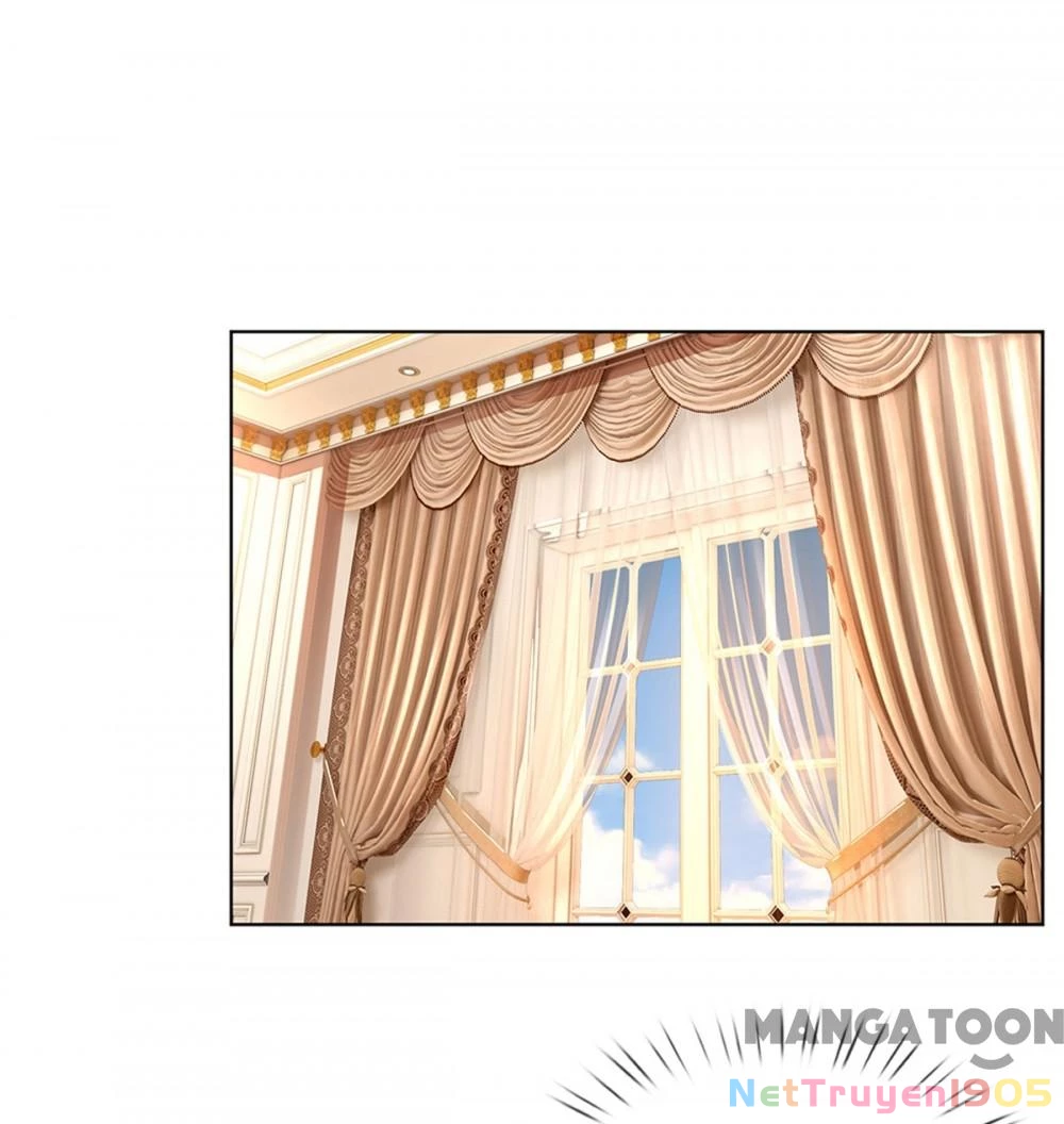 Mami Mau Chạy - Daddy Đuổi Tới Rồi Chapter 242 - 20