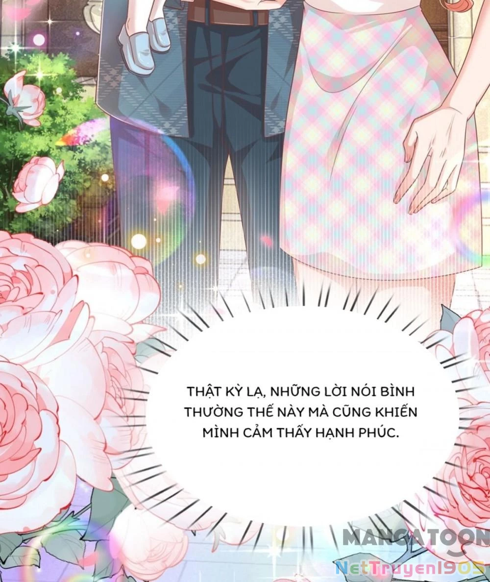 Mami Mau Chạy - Daddy Đuổi Tới Rồi Chapter 246 - 4