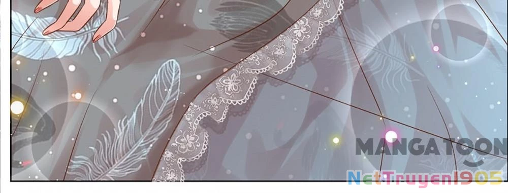 Mami Mau Chạy - Daddy Đuổi Tới Rồi Chapter 252 - 17