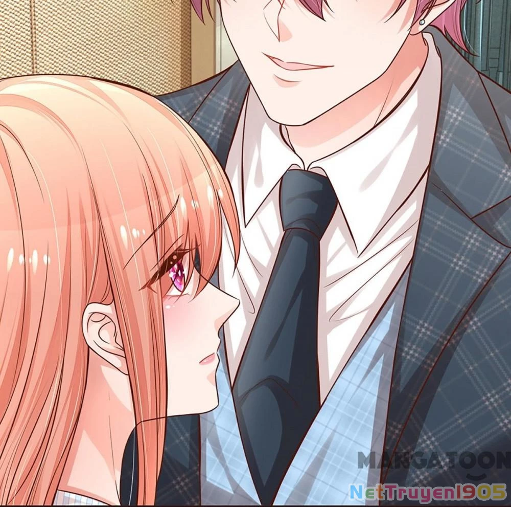 Mami Mau Chạy - Daddy Đuổi Tới Rồi Chapter 284 - 5