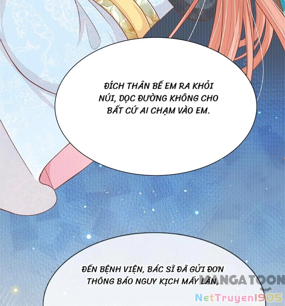 Mami Mau Chạy - Daddy Đuổi Tới Rồi Chapter 284 - 29