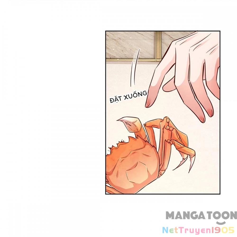 Mami Mau Chạy - Daddy Đuổi Tới Rồi Chapter 294 - 21