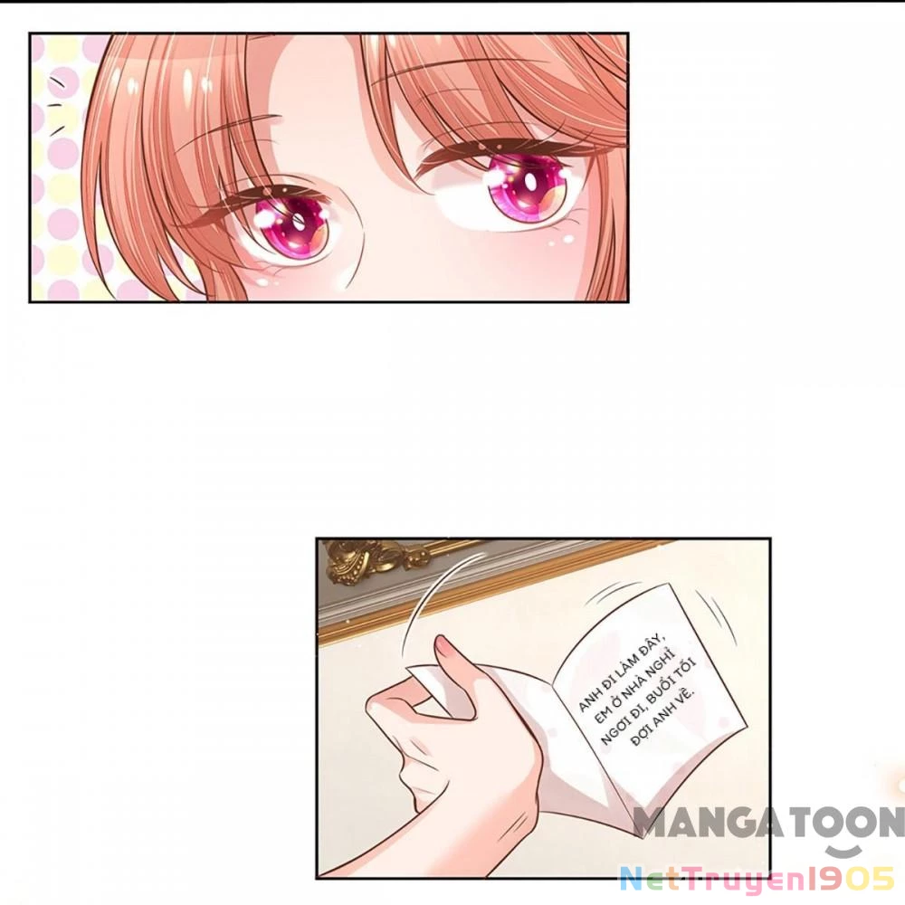 Mami Mau Chạy - Daddy Đuổi Tới Rồi Chapter 307 - 4