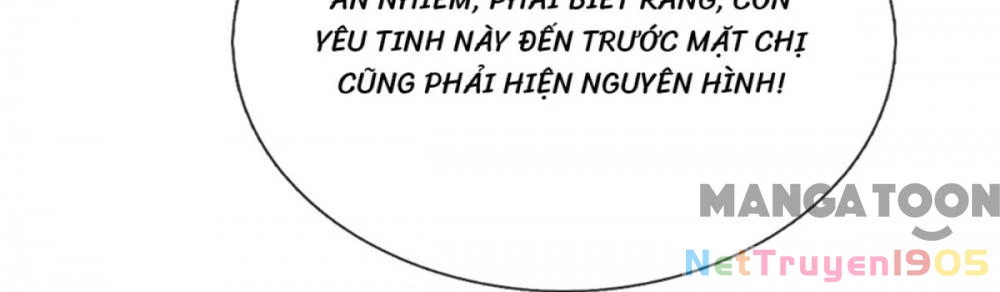 Mami Mau Chạy - Daddy Đuổi Tới Rồi Chapter 308 - 9