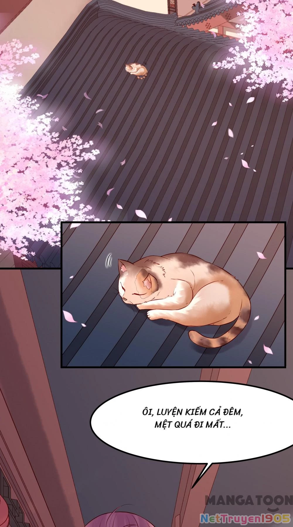 Kế Hoạch Thuần Hóa Bạch Nguyệt Quang Chapter 23 - 6