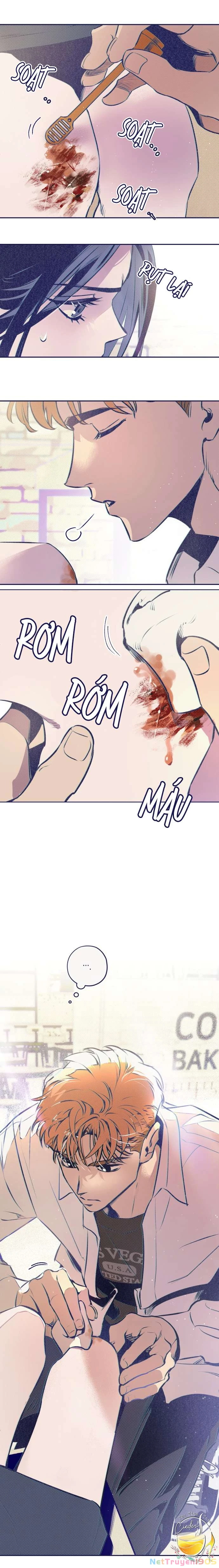 Trắc Nghiệm 4 Lựa Chọn Chapter 3 - 20