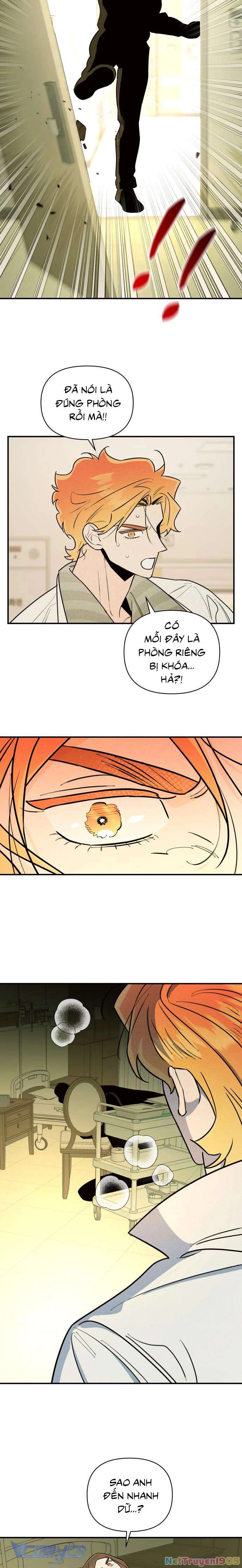 Tối Nay Tôi Là Người Được Cô Ấy Chọn Chapter 24 - 23