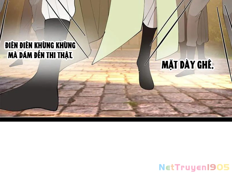Chàng Rể Mạnh Nhất Lịch Sử Chapter 328 - 71