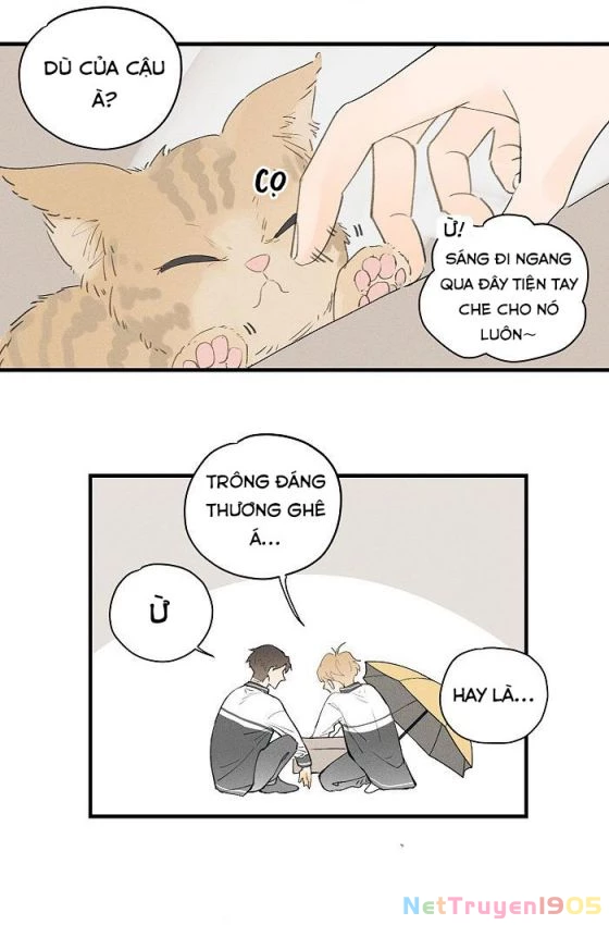 Diêm Hữu Chapter 21 - 11