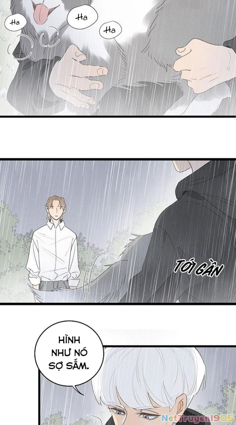 Diêm Hữu Chapter 40 - 23