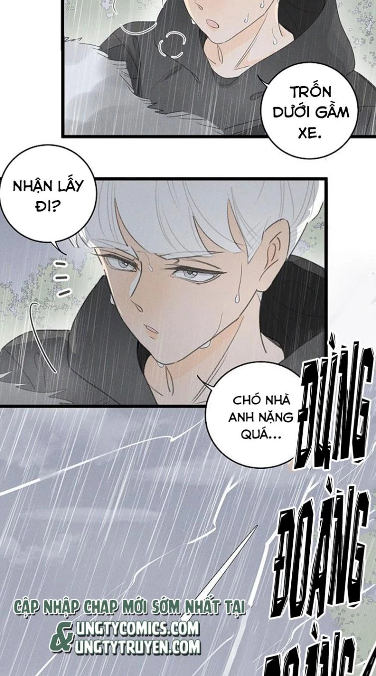 Diêm Hữu Chapter 40 - 24