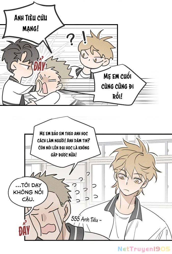 Diêm Hữu Chapter 42 - 8