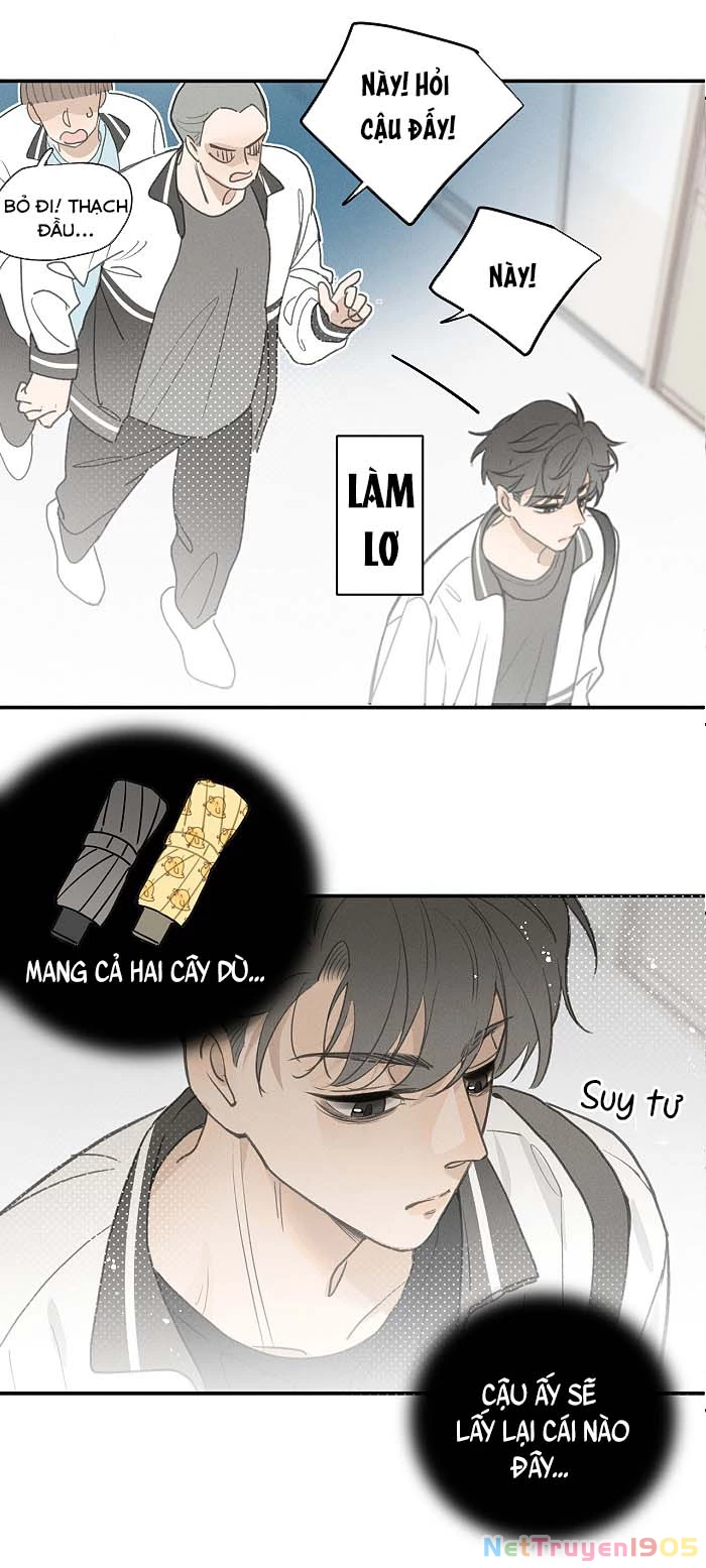 Diêm Hữu Chapter 48 - 13