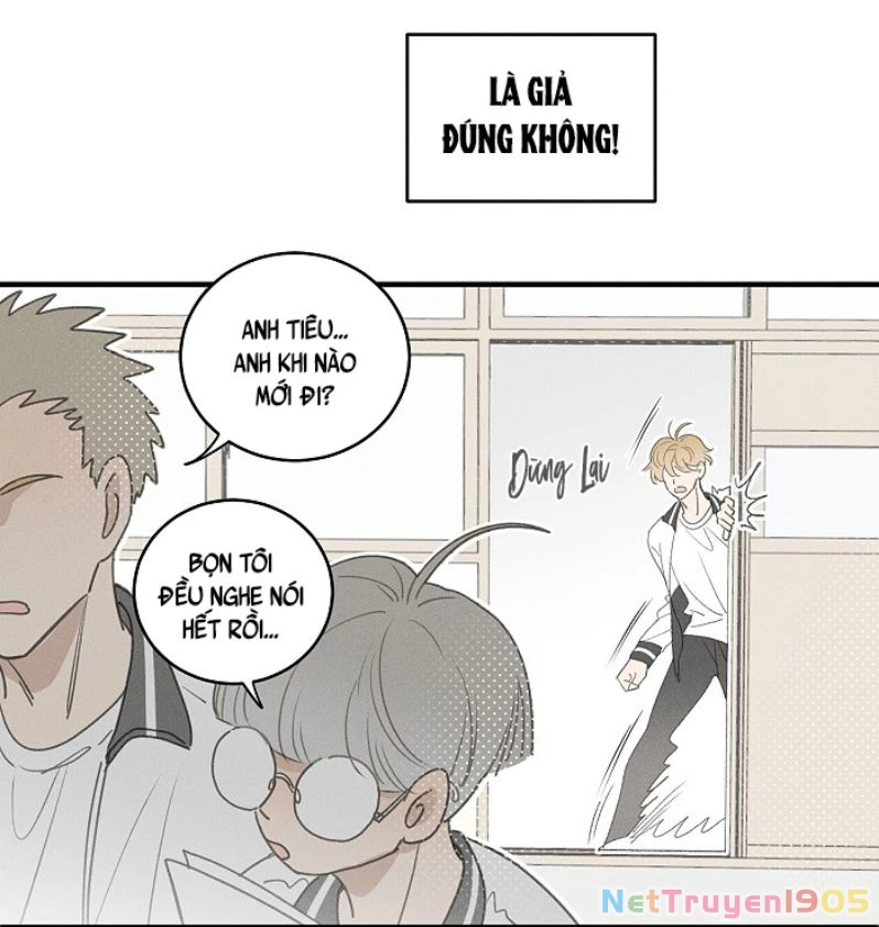 Diêm Hữu Chapter 49 - 9