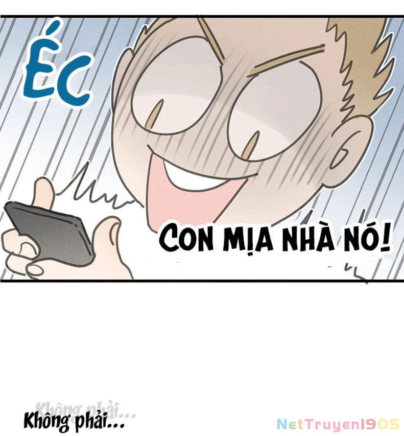 Diêm Hữu Chapter 51 - 15