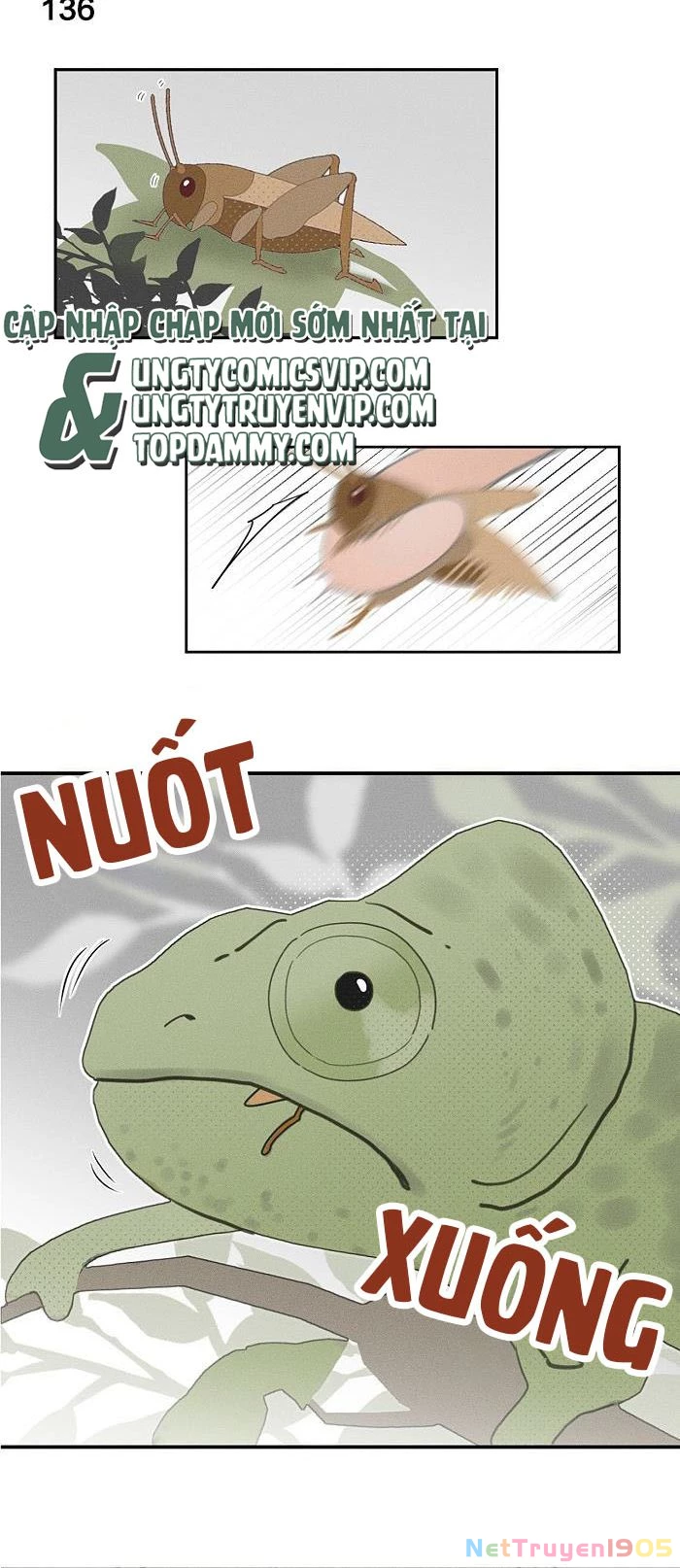 Diêm Hữu Chapter 57 - 2