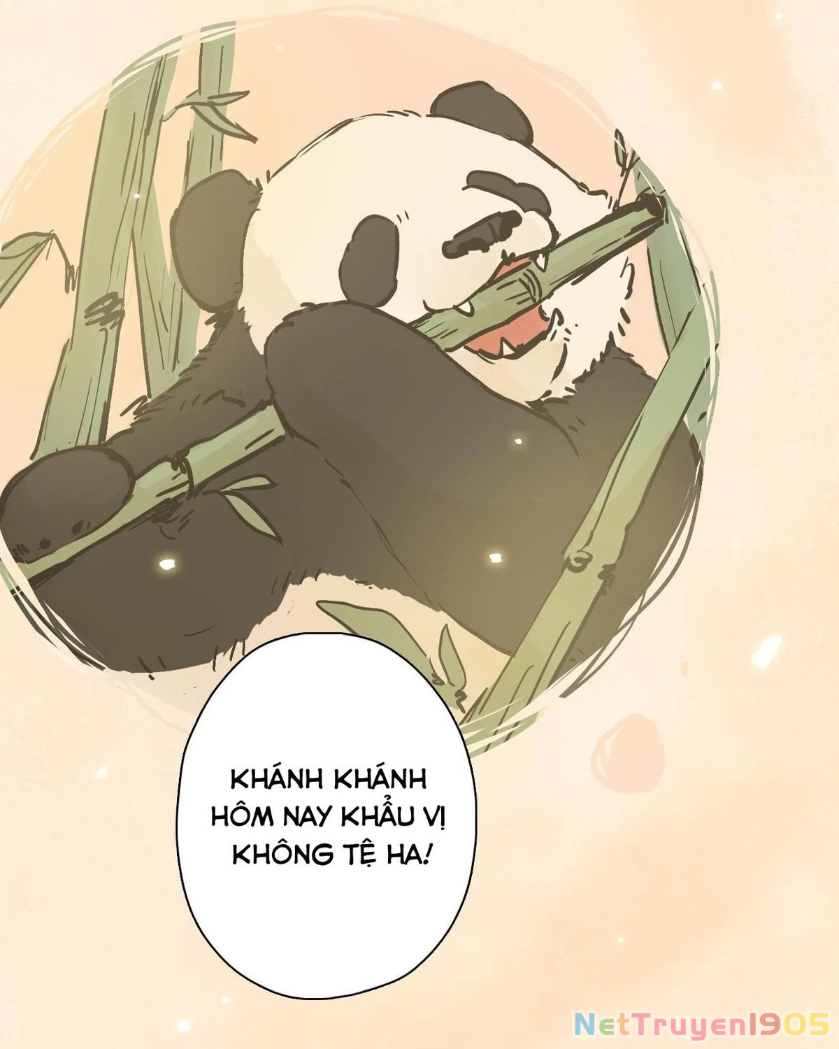 Khi mèo thống trị thế giới Chapter 23 - 11