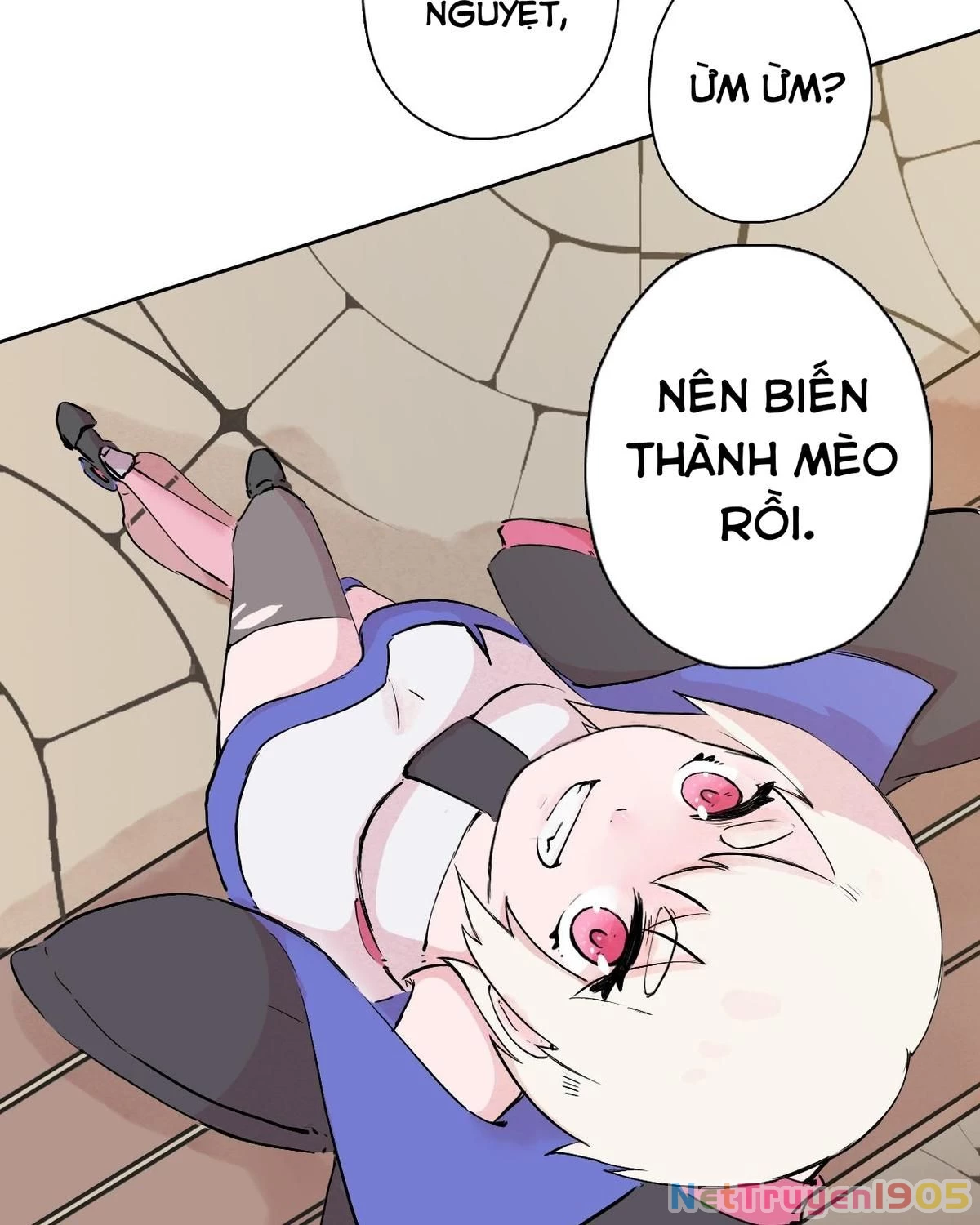 Khi mèo thống trị thế giới Chapter 24 - 34