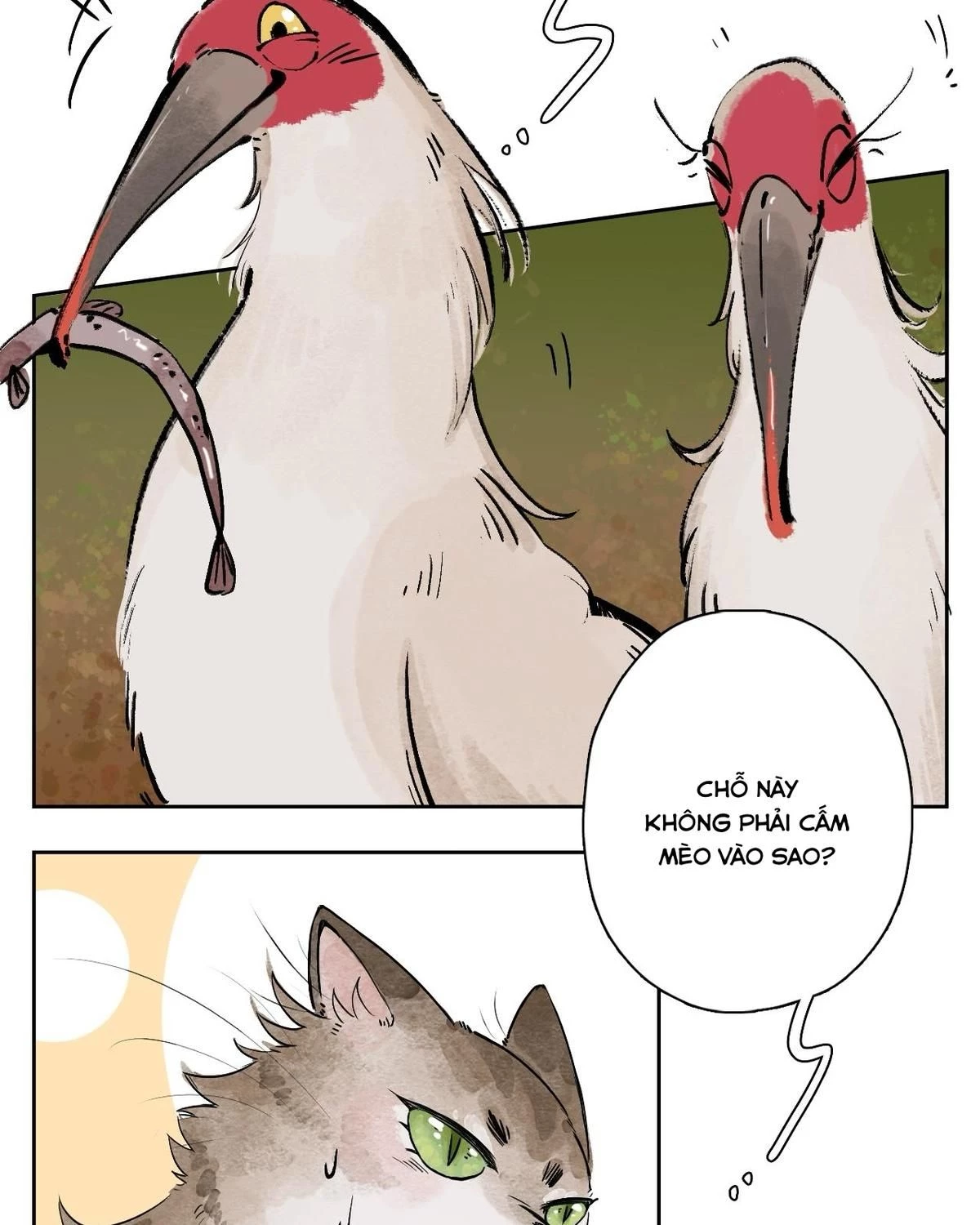 Khi mèo thống trị thế giới Chapter 25 - 27