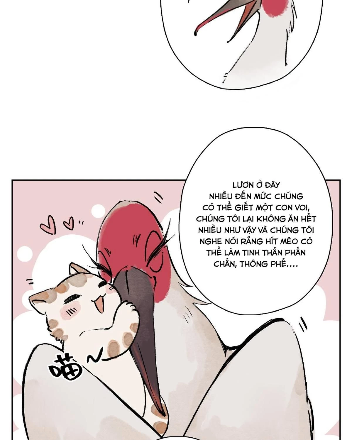 Khi mèo thống trị thế giới Chapter 25 - 30