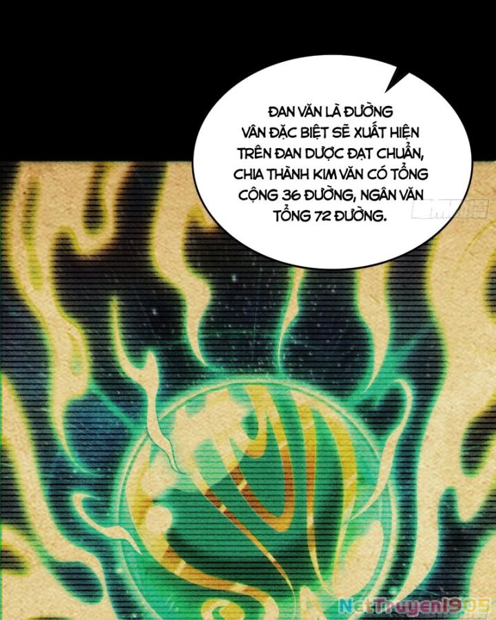 Giả Lập Tu Hành Của Ta Chapter 42 - 5