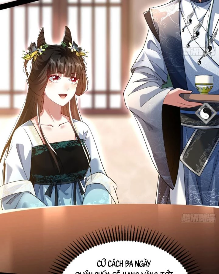 Giả Lập Tu Hành Của Ta Chapter 43 - 43