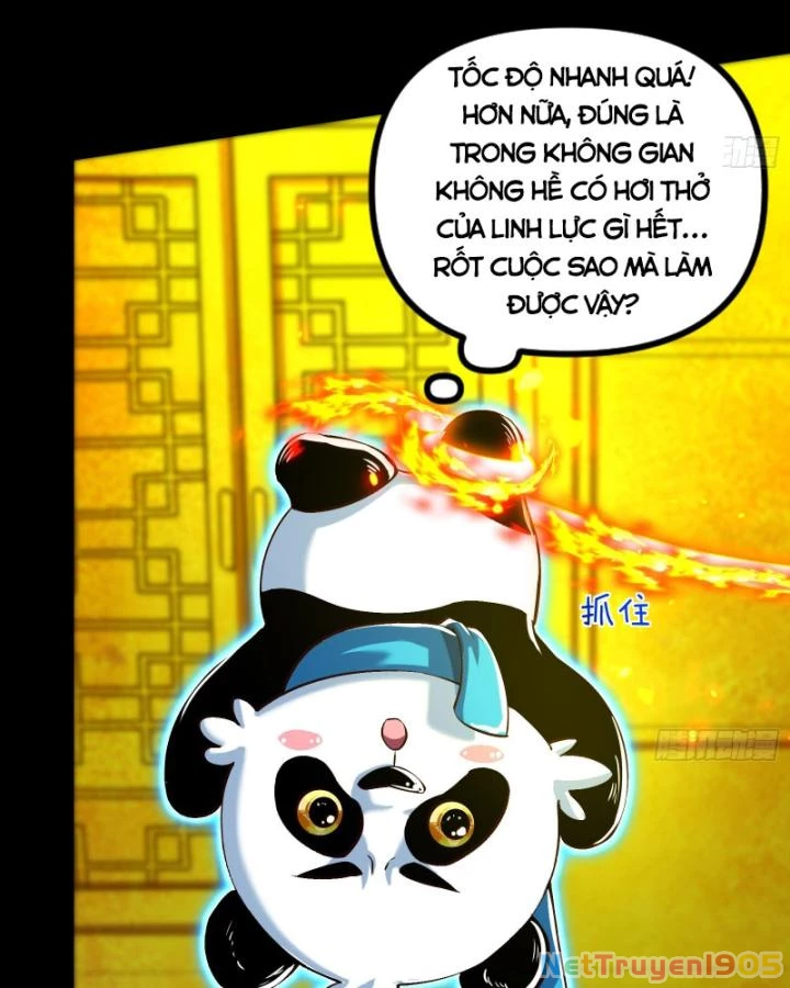 Giả Lập Tu Hành Của Ta Chapter 47 - 52