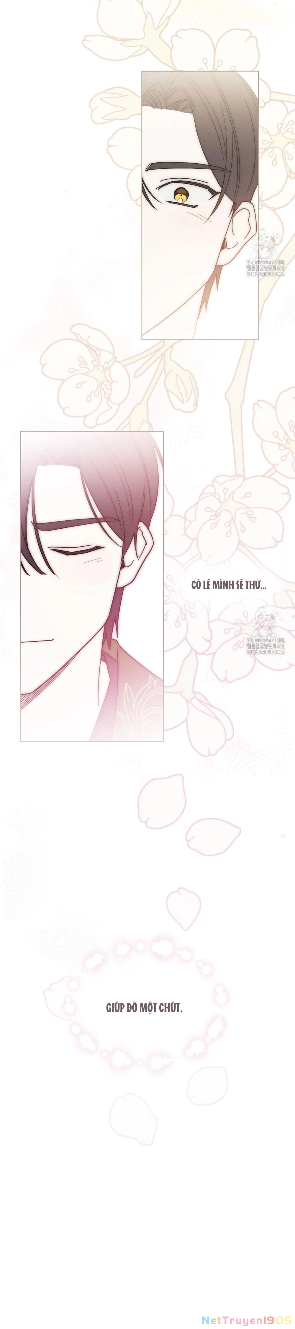 Tôi Bị Chính Người Chồng Mình Truy Đuổi! Chapter  24 - 31