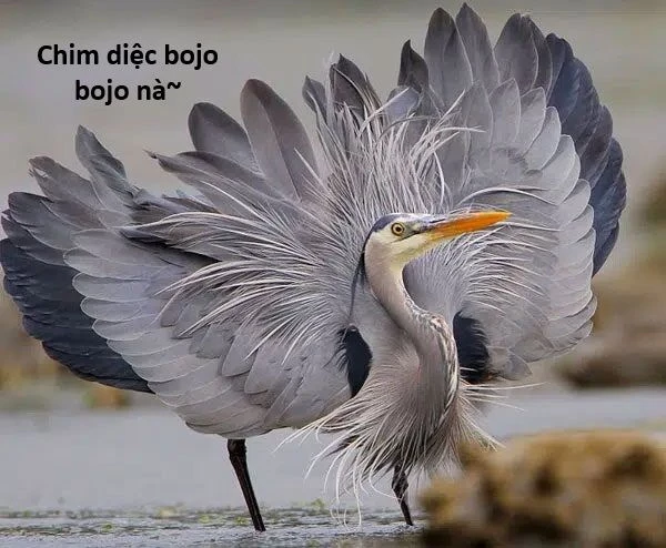 Ngay Cả Khi Hậu Tận Thế, Thật Hạnh Phúc Vẫn Còn Được Sống... Chapter 4.5 - 21