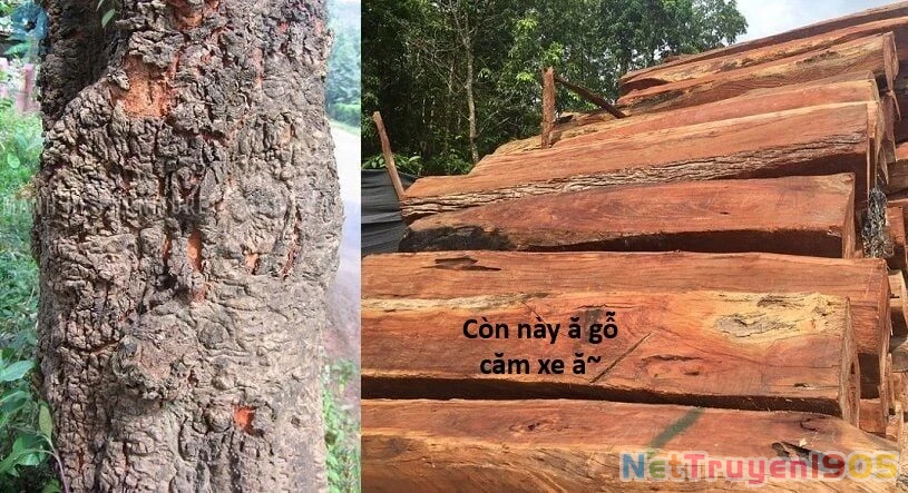 Ngay Cả Khi Hậu Tận Thế, Thật Hạnh Phúc Vẫn Còn Được Sống... Chapter 44.1 - 20