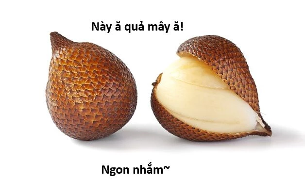 Ngay Cả Khi Hậu Tận Thế, Thật Hạnh Phúc Vẫn Còn Được Sống... Chapter 44.1 - 21