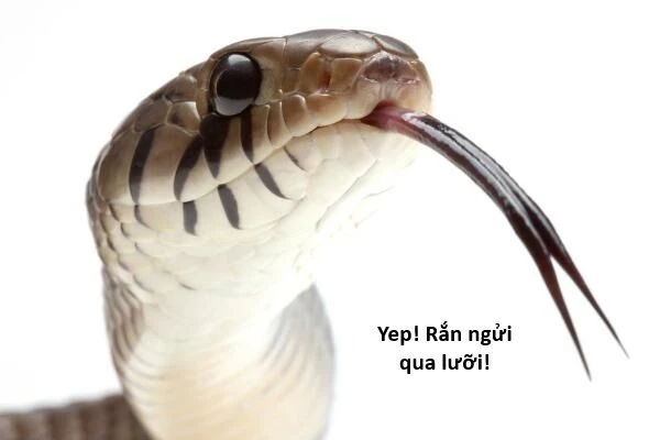 Ngay Cả Khi Hậu Tận Thế, Thật Hạnh Phúc Vẫn Còn Được Sống... Chapter 44.2 - 15