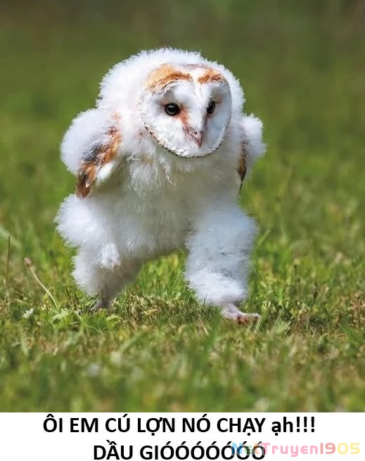 Ngay Cả Khi Hậu Tận Thế, Thật Hạnh Phúc Vẫn Còn Được Sống... Chapter 49.2 - 13