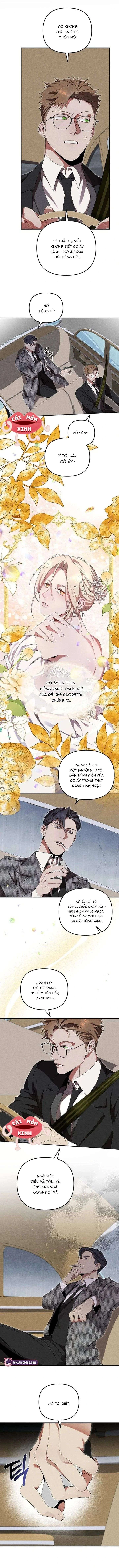 Nơi Đóa Hồng Vàng Úa Tàn Chapter 4 - 8