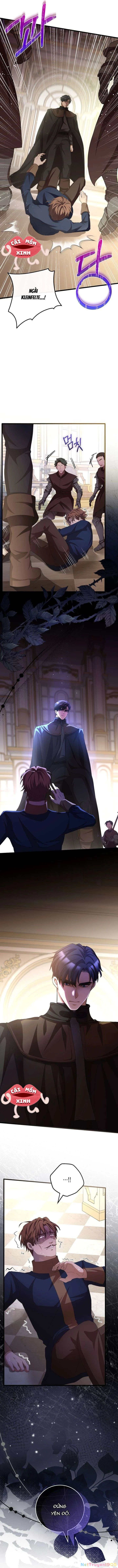 Lời Cầu Hôn Hoang Dã Chapter 11 - 10
