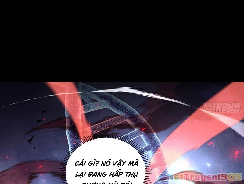 Tai Ách Giáng Lâm: Ta Tiến Hóa Thành Tinh Hồng Chi Vương Chapter 6 - 112