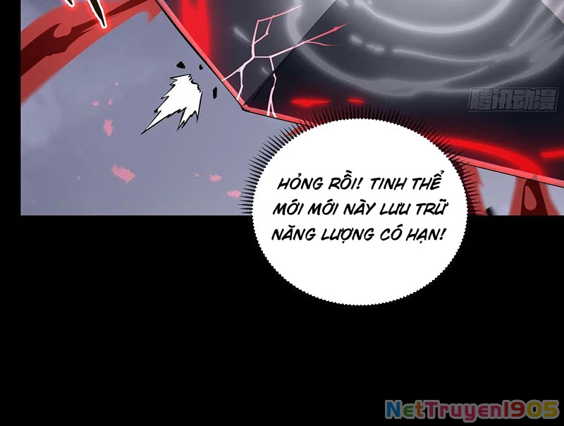 Tai Ách Giáng Lâm: Ta Tiến Hóa Thành Tinh Hồng Chi Vương Chapter 6 - 120