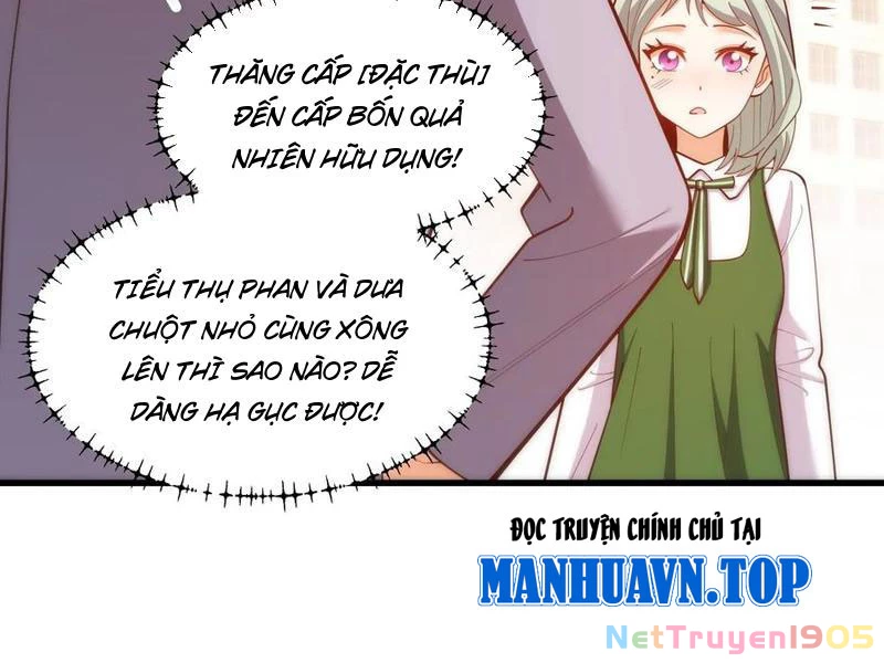 Trọng Sinh Không Làm Chạn Vương, Tôi Một Mình Nạp Game Thăng Cấp Chapter 263 - 66